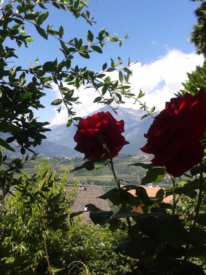 Appartamento Hahnenkamm Rainegg Scena Esterno foto