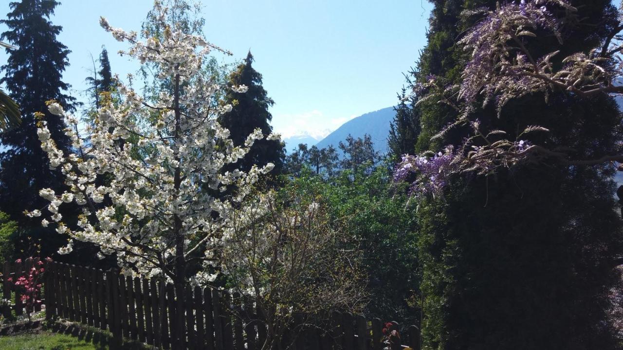 Appartamento Hahnenkamm Rainegg Scena Esterno foto